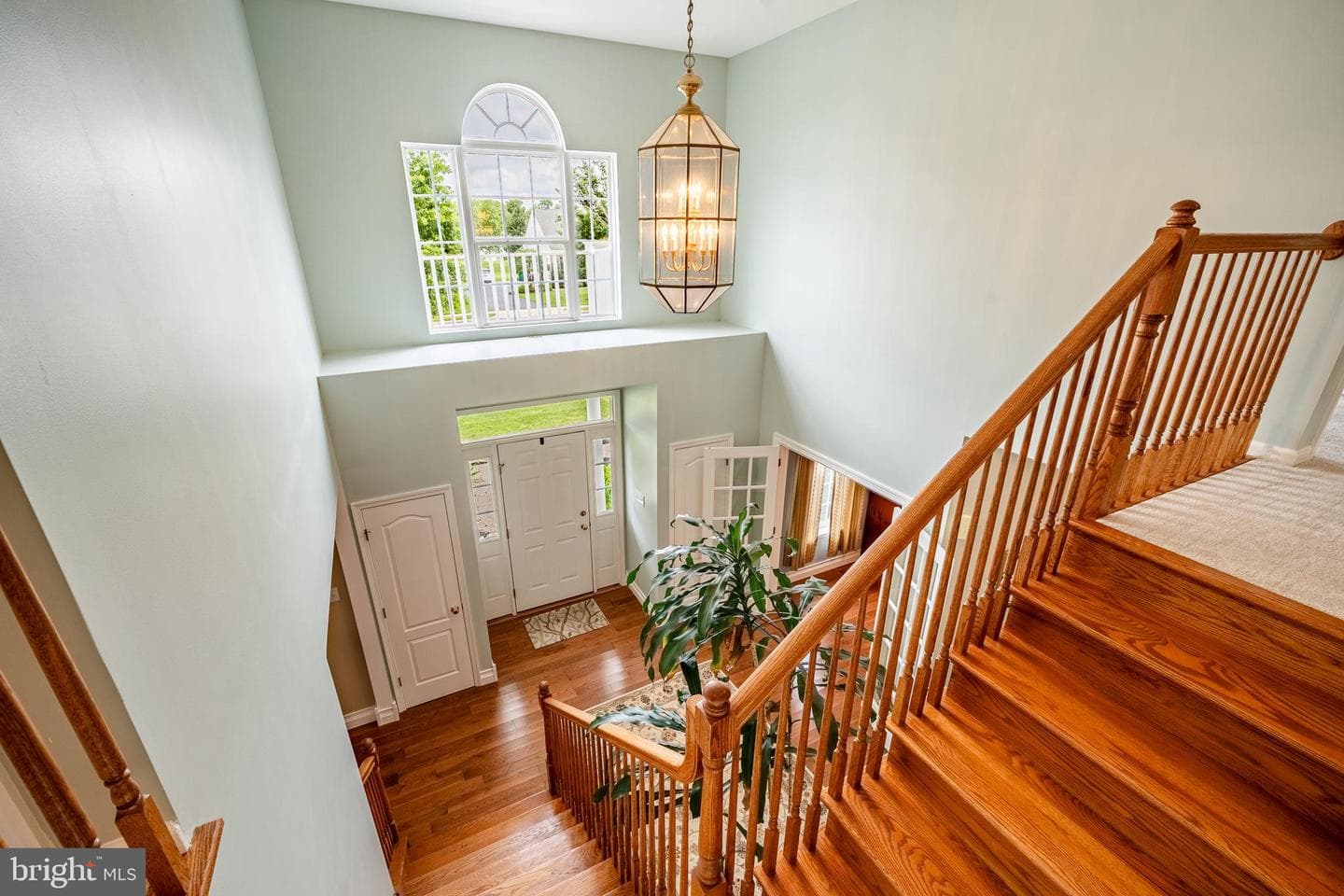 38 Marshwood Drive photo 17