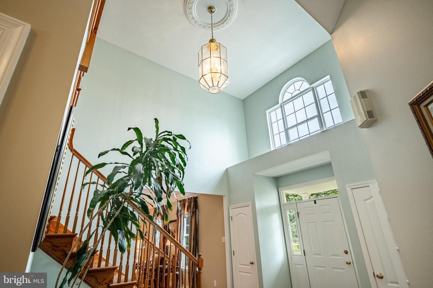 38 Marshwood Drive photo 18