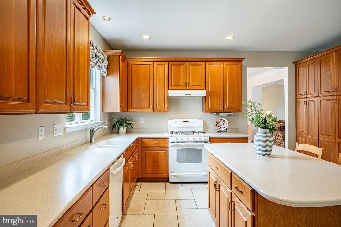 38 Marshwood Drive photo 24