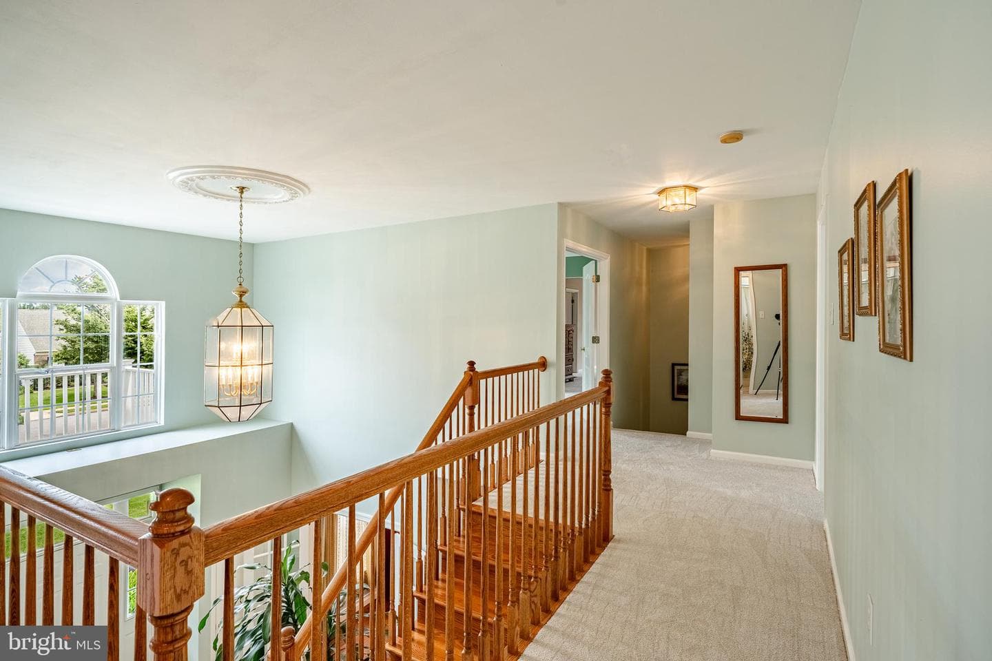 38 Marshwood Drive photo 39