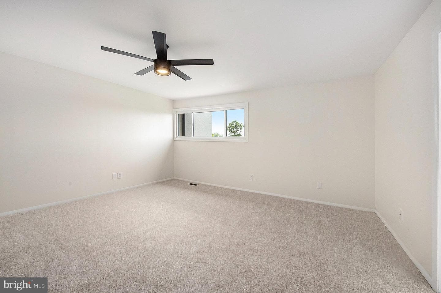 2803 Jefferson Court photo 18