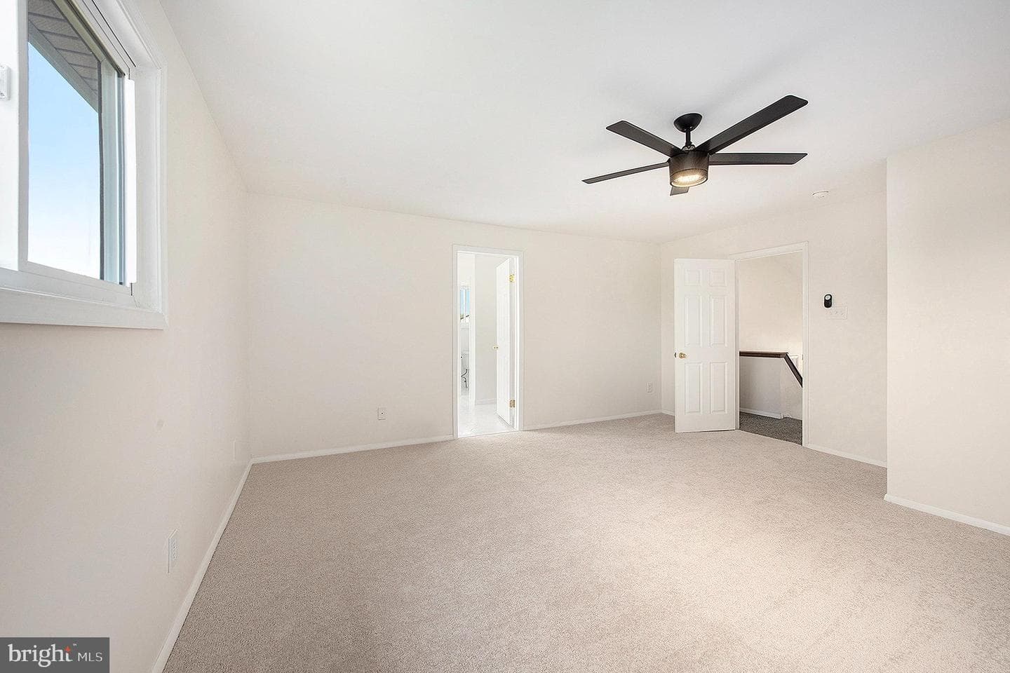 2803 Jefferson Court photo 19