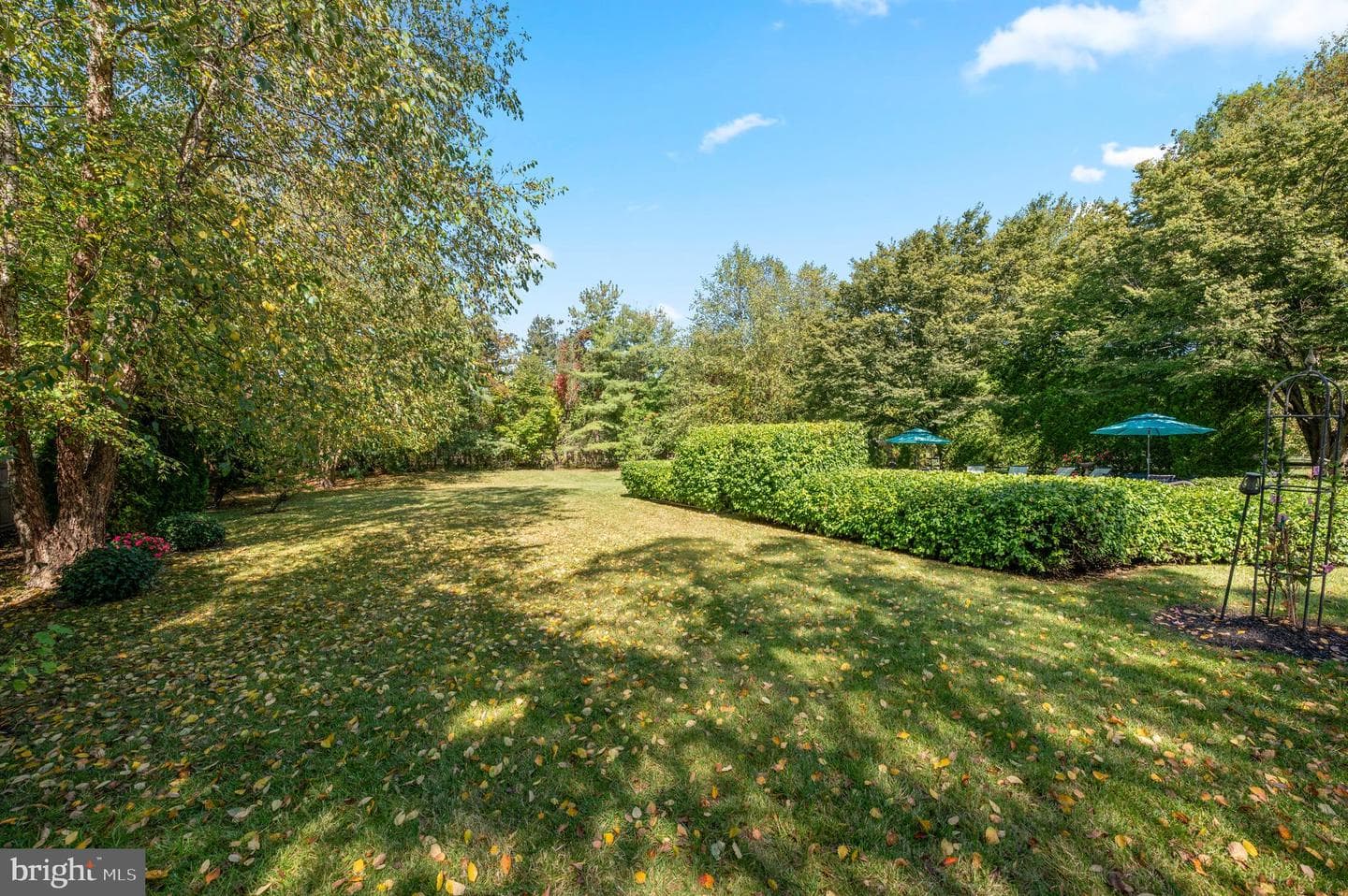 272 Mallard Drive E photo 44