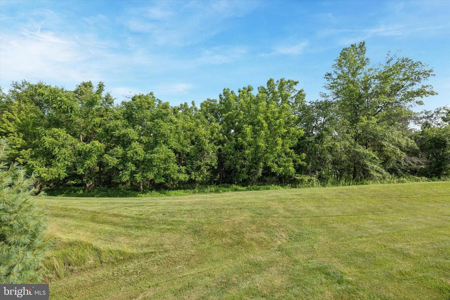72 Iron Hill Way photo 23