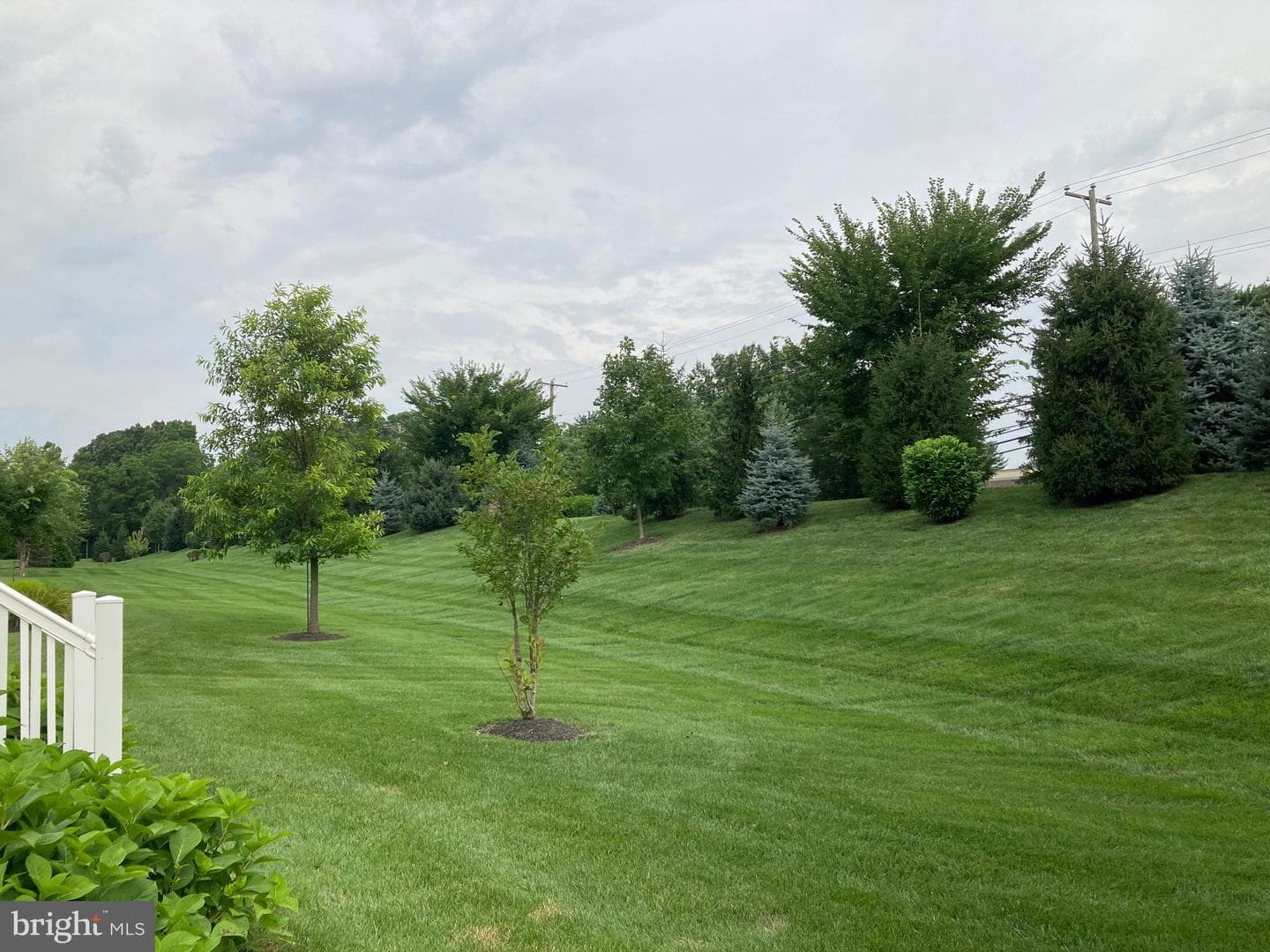 225 Magnolia Street photo 29