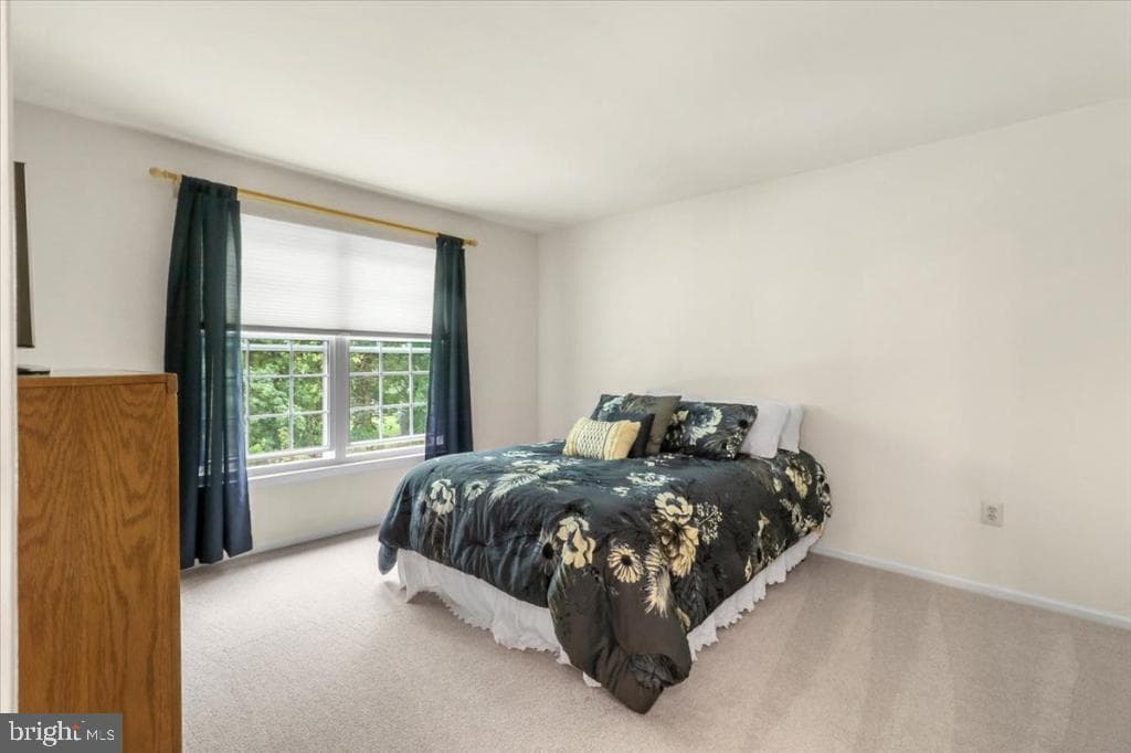 109 Knoll Drive photo 28