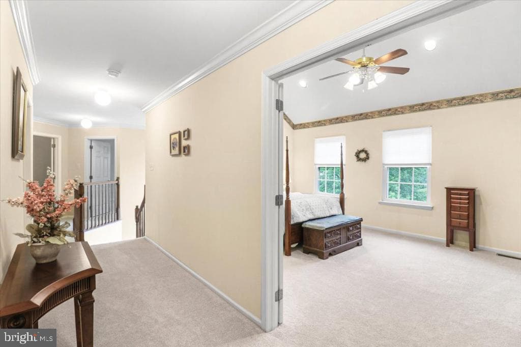 109 Knoll Drive photo 33