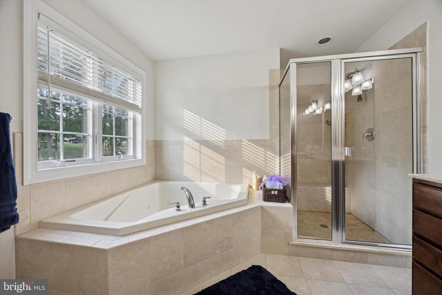 801 N Park Avenue photo 24
