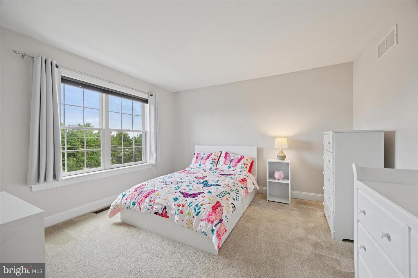 801 N Park Avenue photo 30