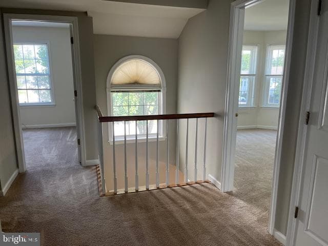 441 Dogwood Drive photo 13