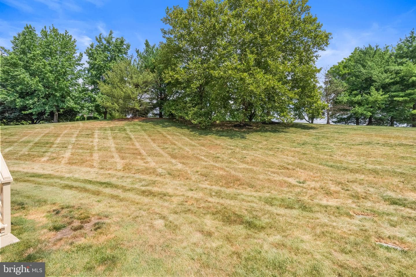 5 Chadwick Circle photo 28