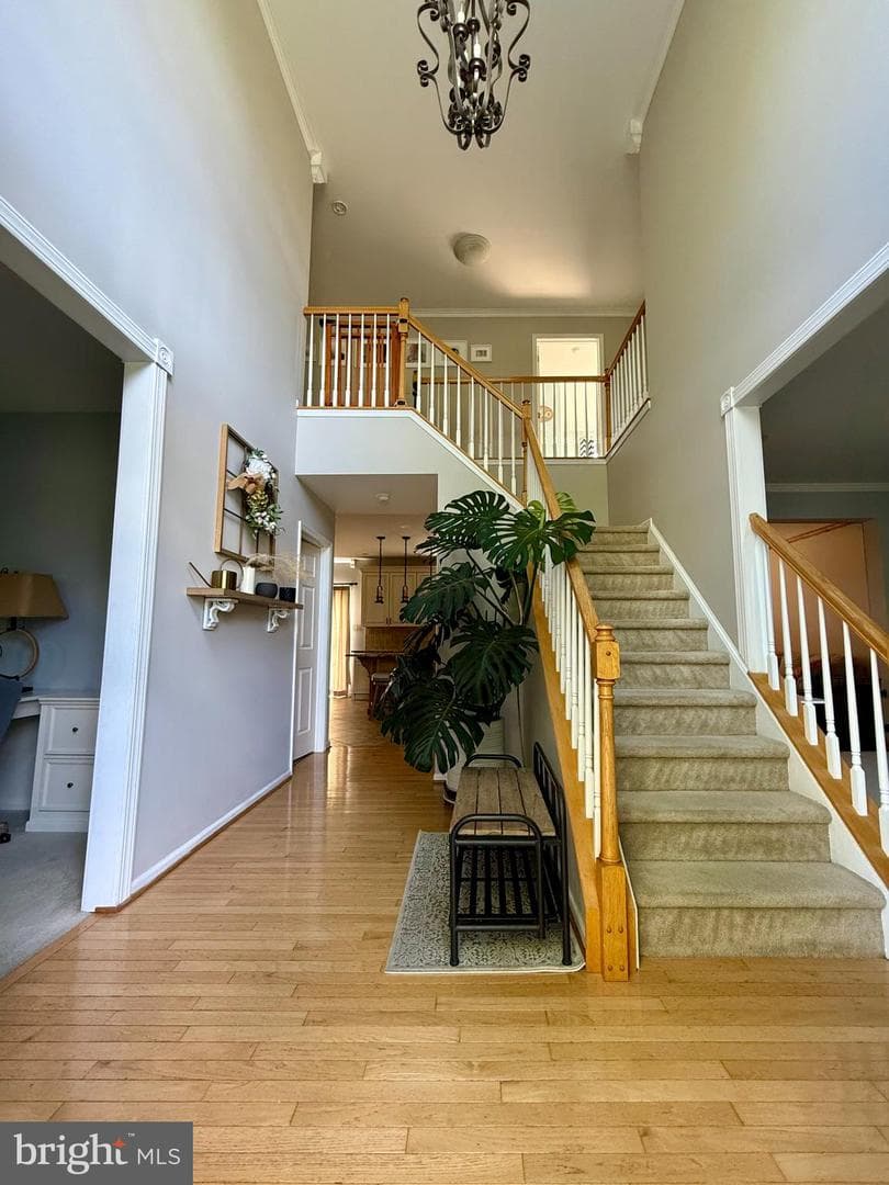 138 Bradford Drive photo 7