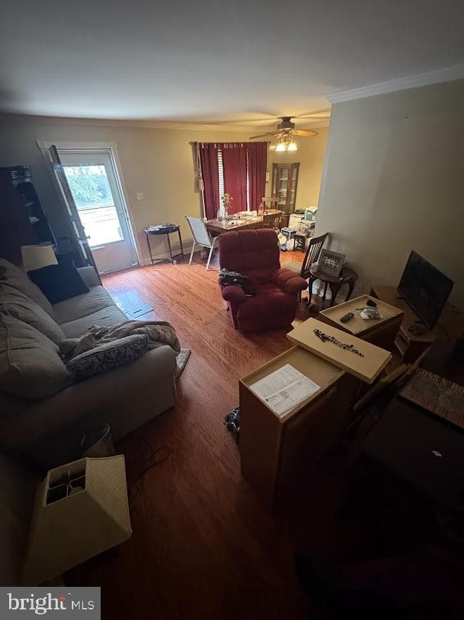 205 Whitpain Hills photo 14