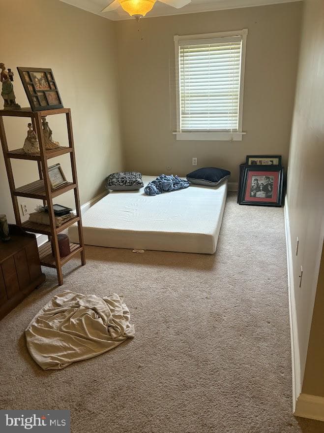205 Whitpain Hills photo 18