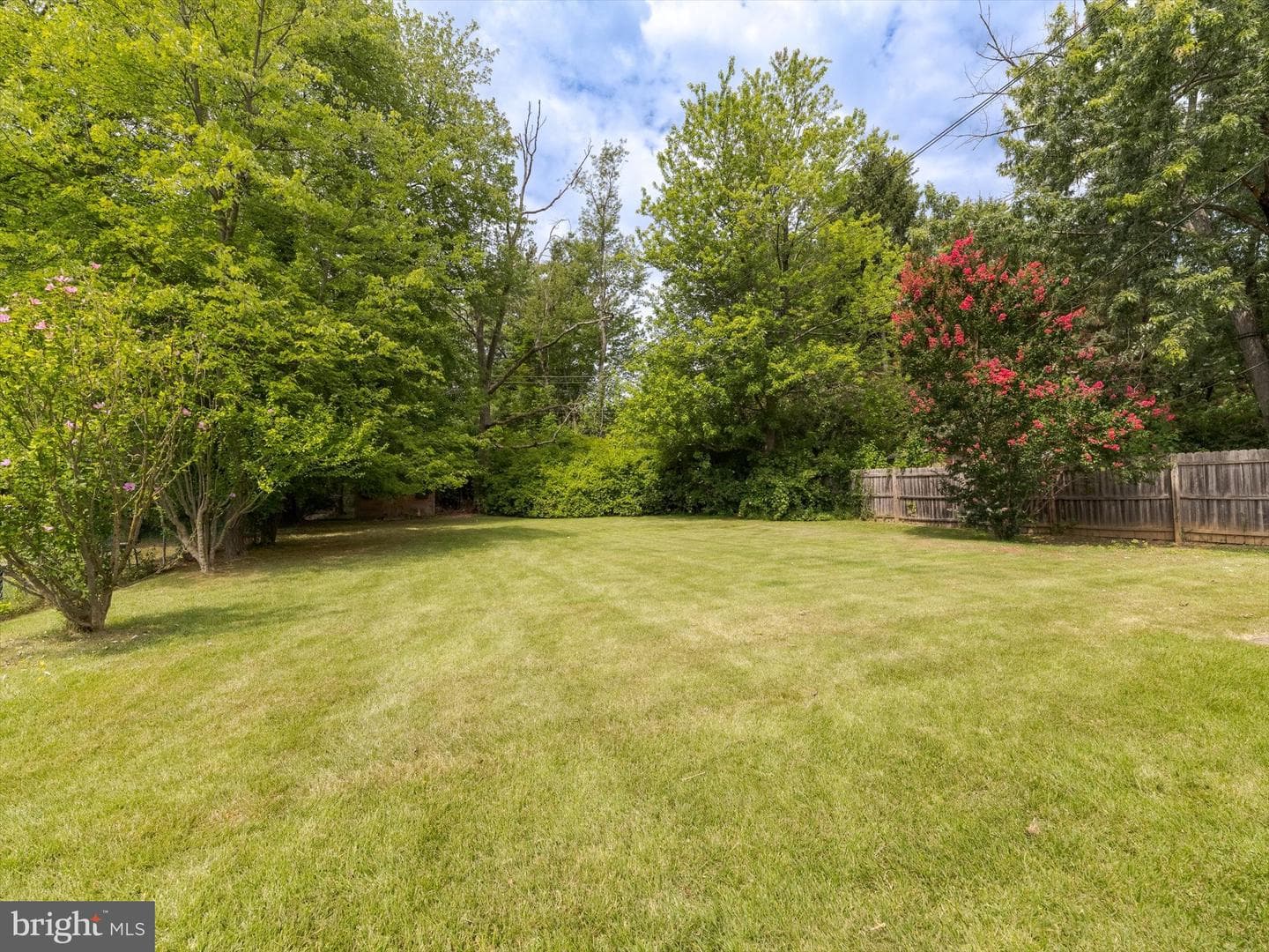 2814 Woodland Road photo 4