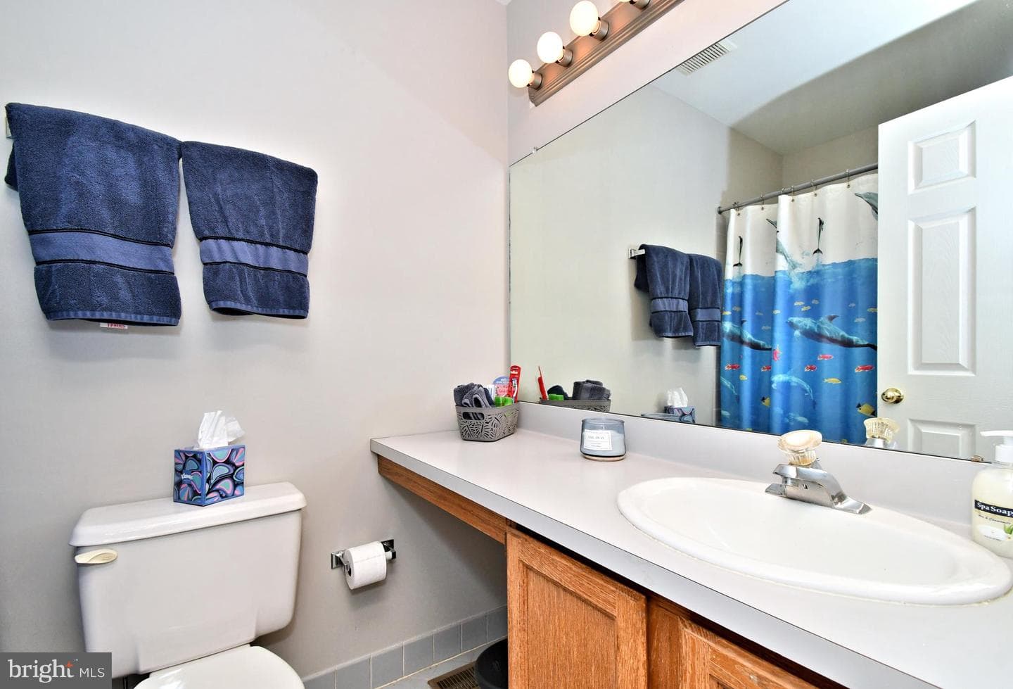 19 Firethorn Drive photo 36