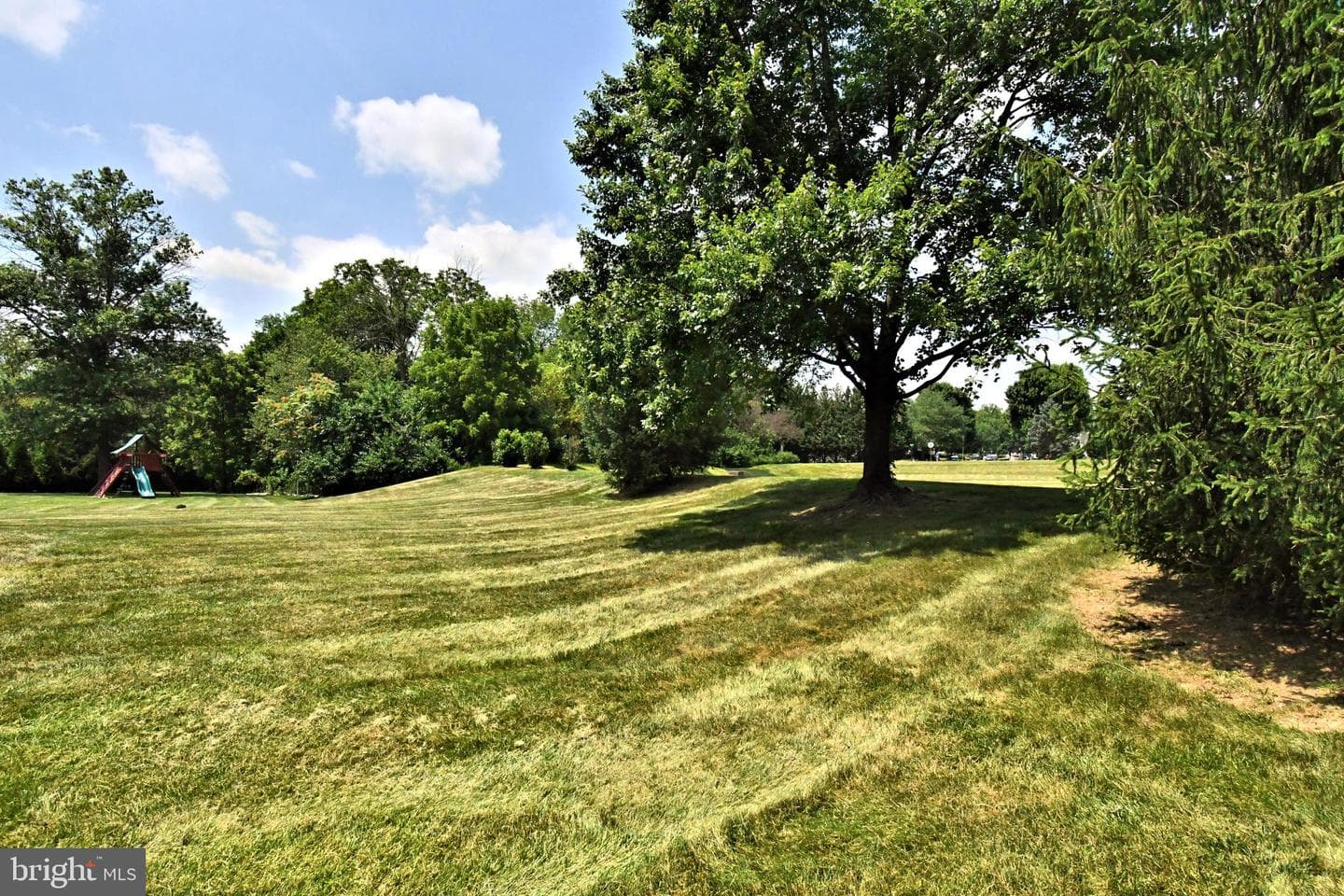 19 Firethorn Drive photo 46