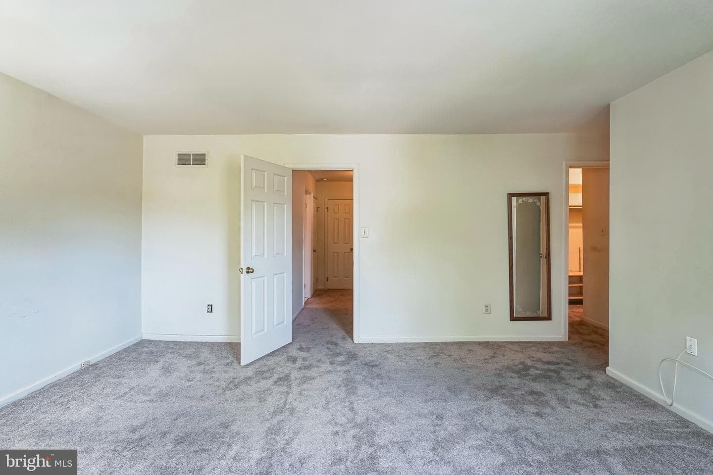 250 Tulip Tree Court photo 16