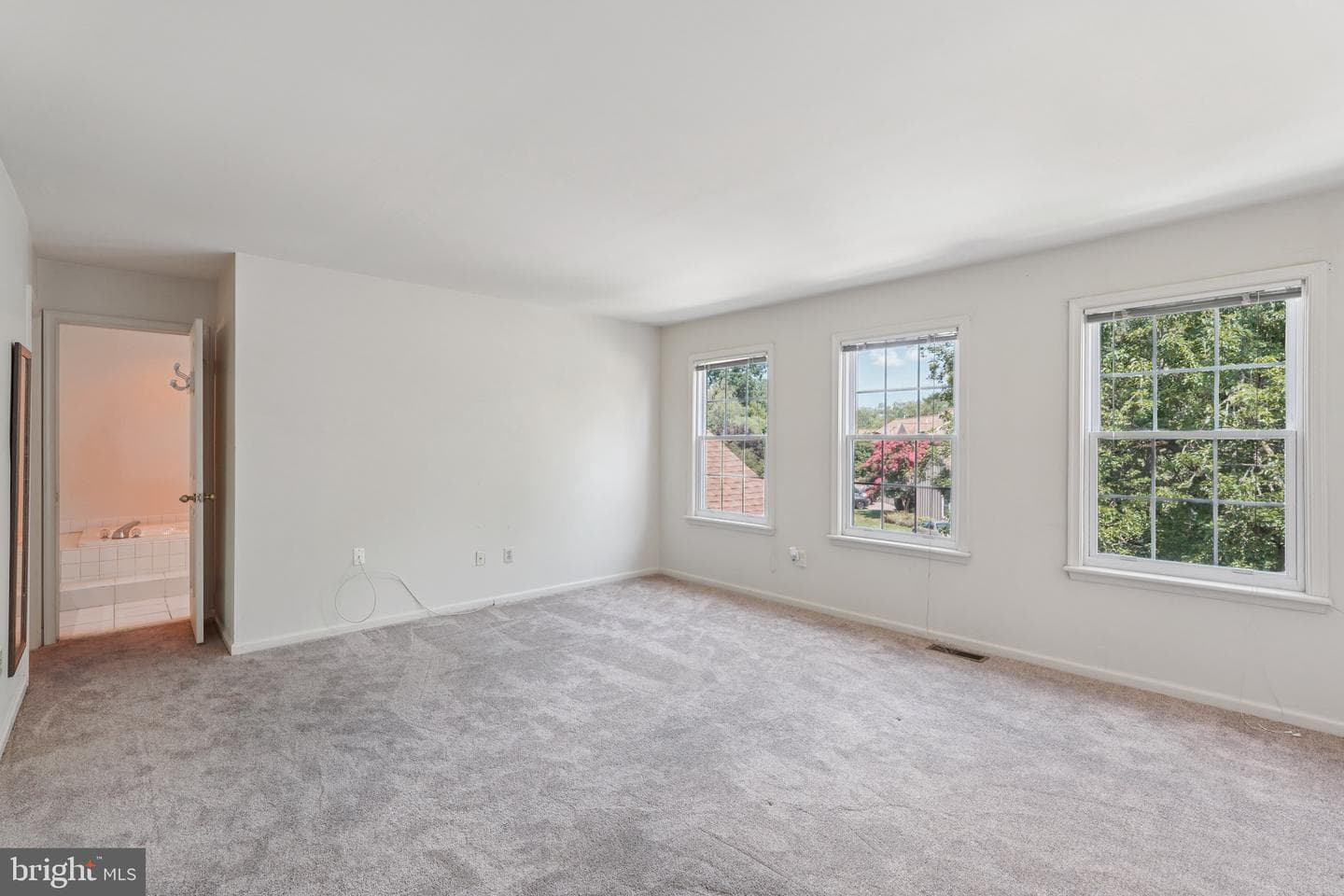 250 Tulip Tree Court photo 17