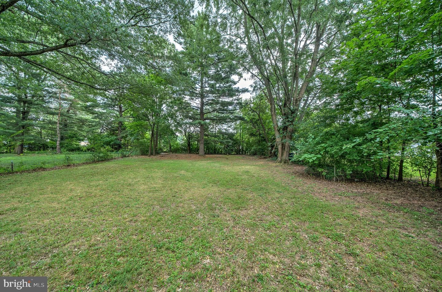2031 Oak Avenue photo 46