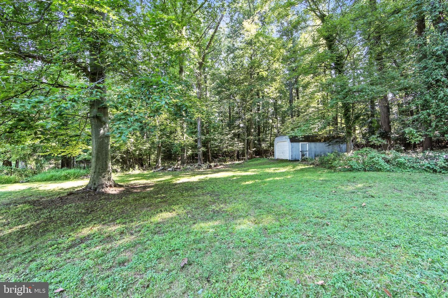 812 Mennonite Road photo 7