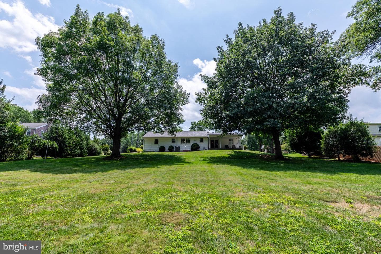 41 College Avenue photo 12
