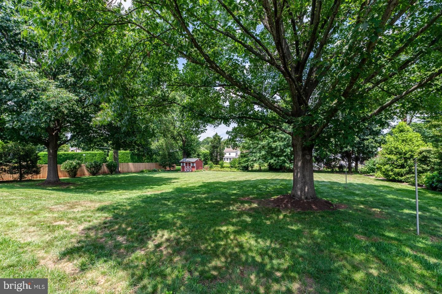 41 College Avenue photo 13