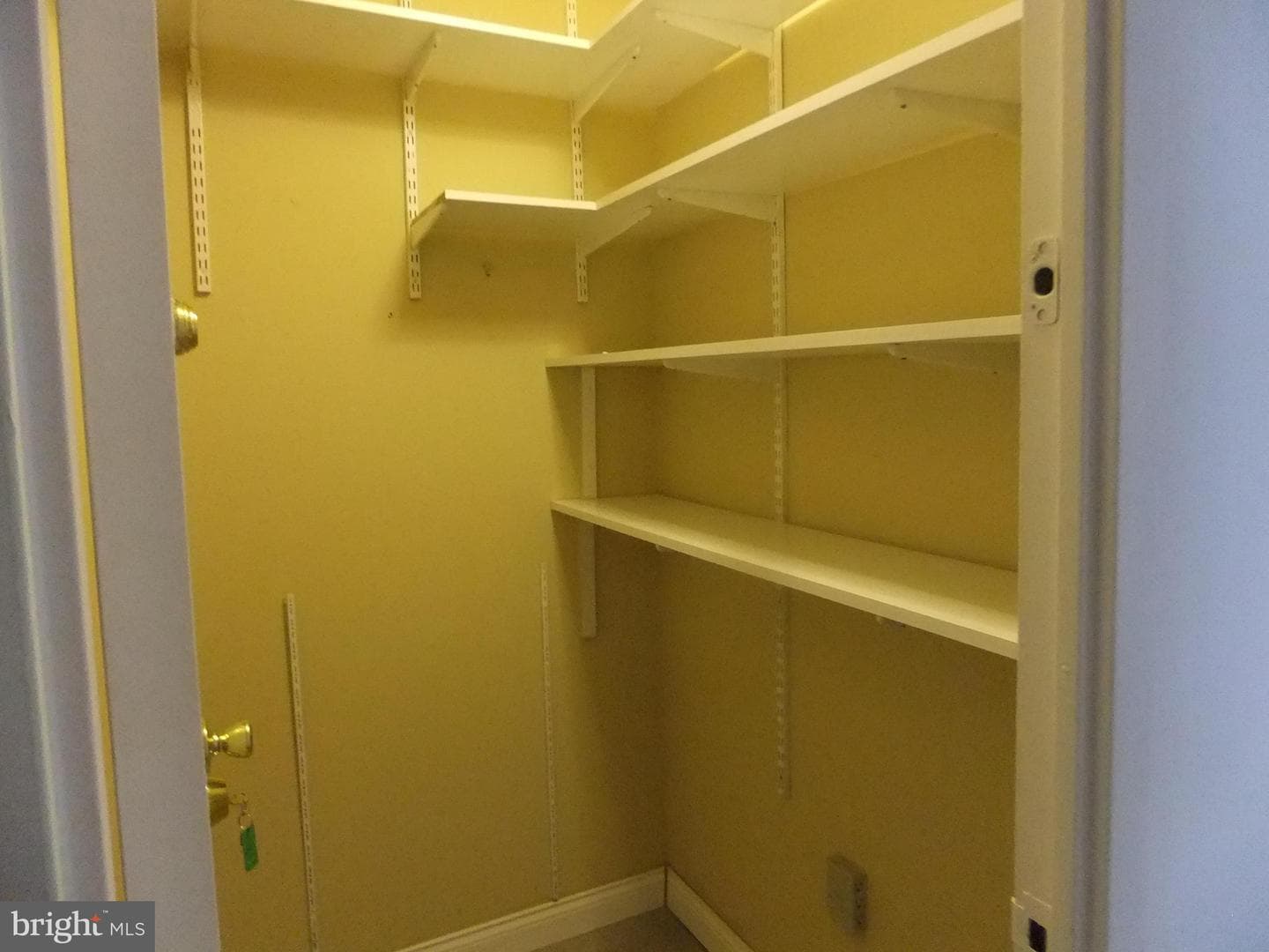 1655 Oakwood Drive #n217 photo 31