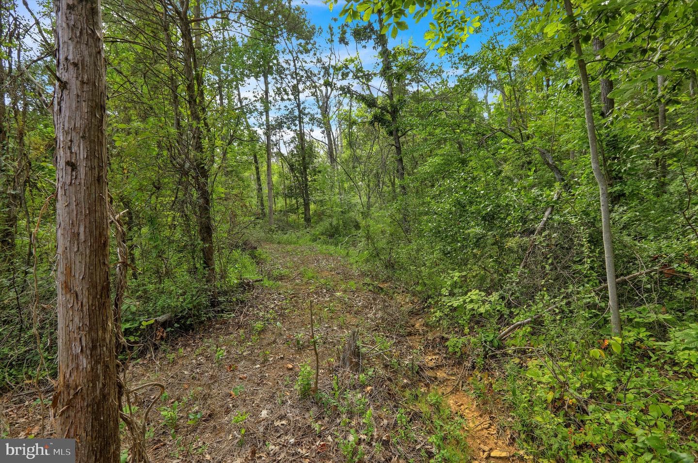 1715 Gravel Pike photo 77