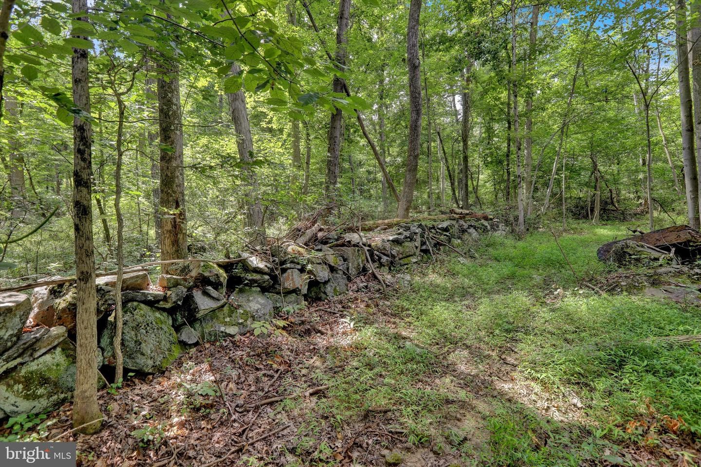 1715 Gravel Pike photo 79