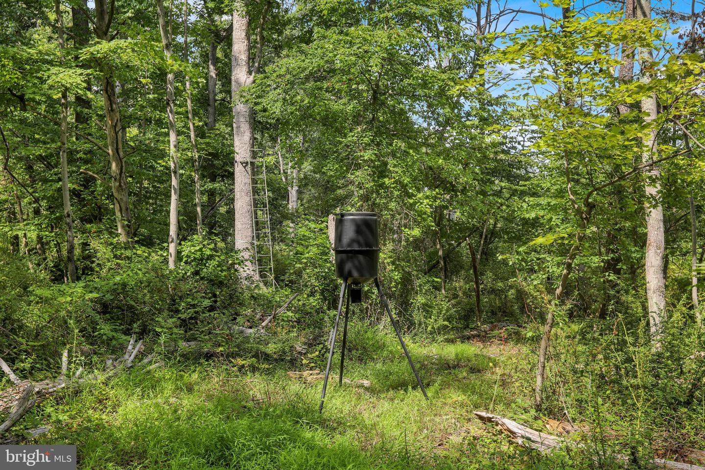 1715 Gravel Pike photo 80