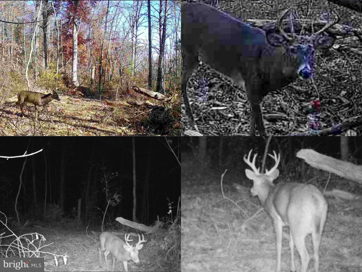 1715 Gravel Pike photo 81