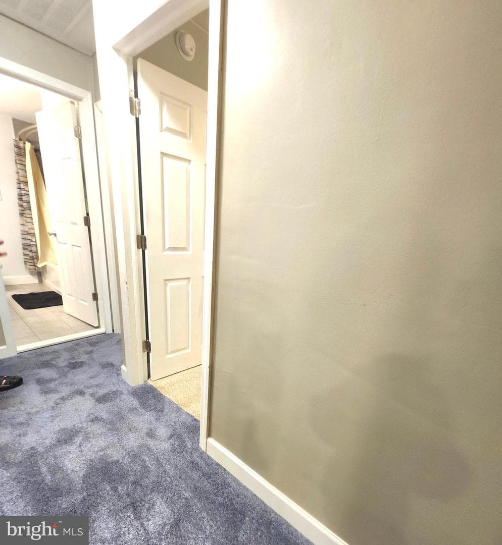 2523 Springview Road photo 10