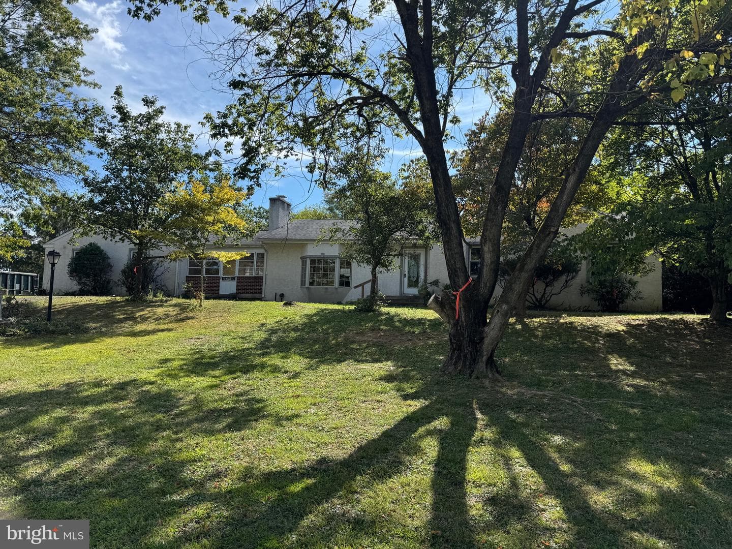 804 Dekalb Pike photo 3
