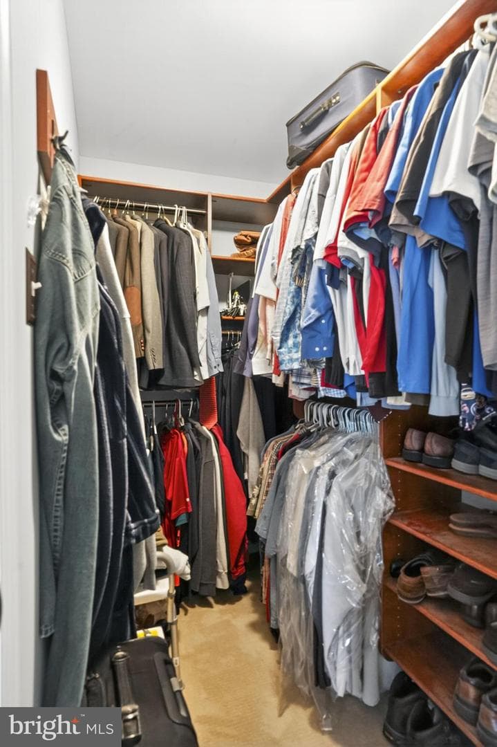 7 Paddington Road photo 28