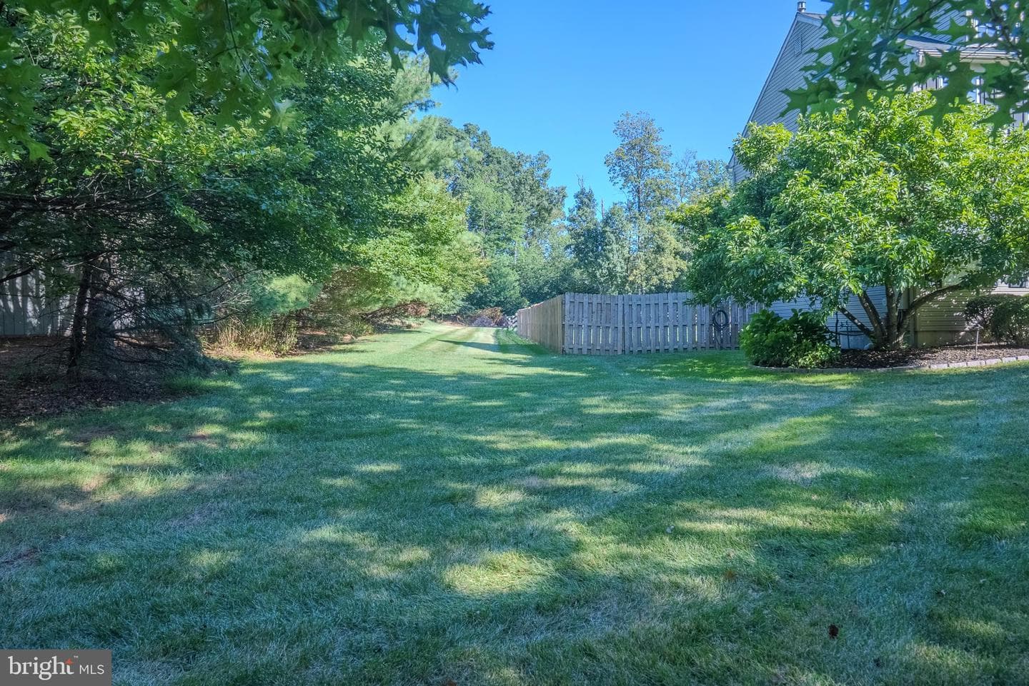 7 Paddington Road photo 53
