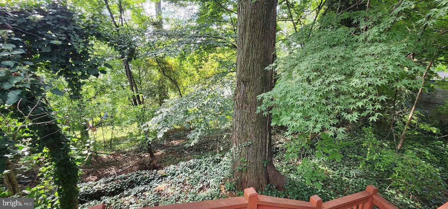 1505 Edge Hill Road photo 21