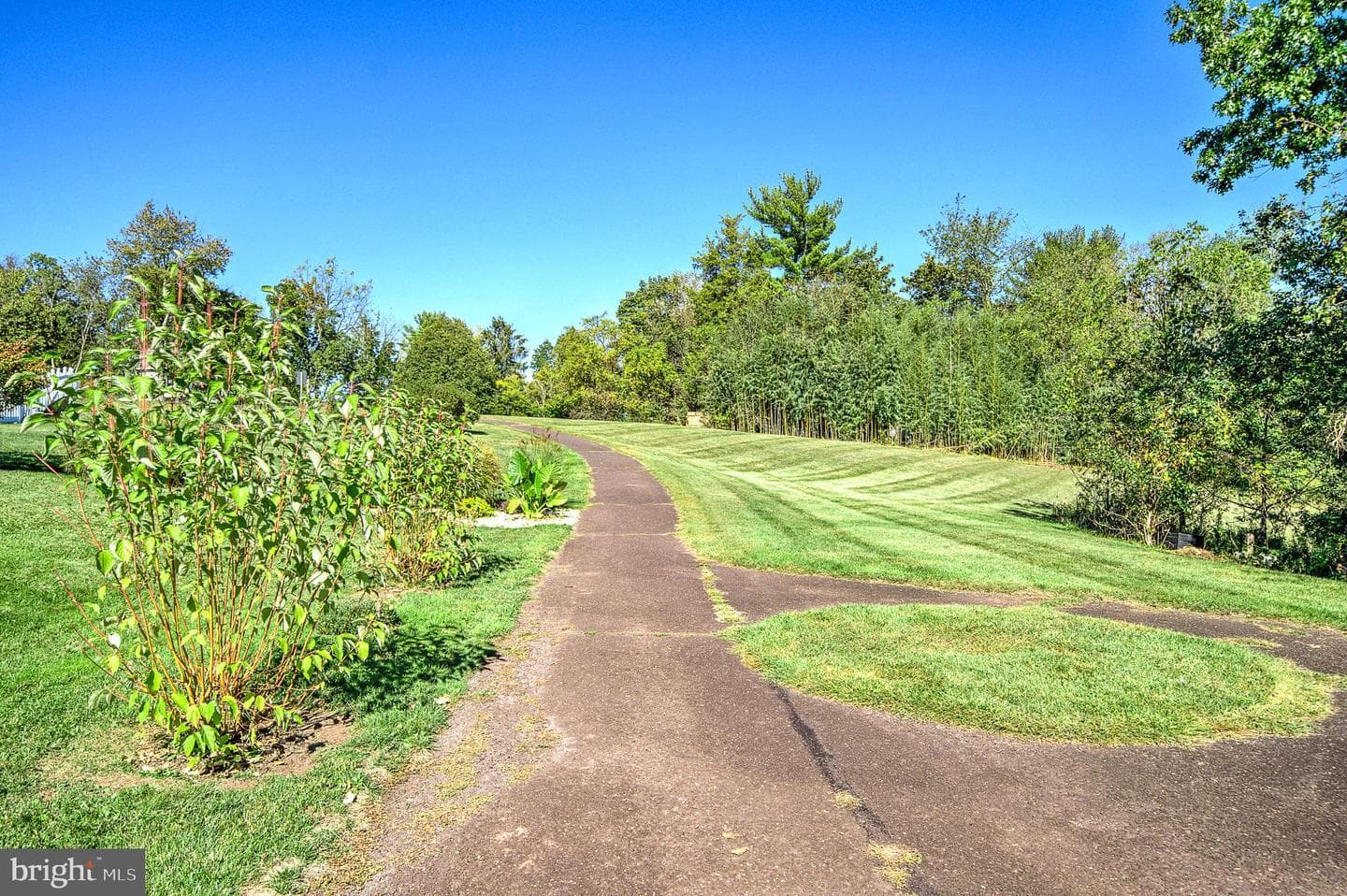 939 Hamilton Road photo 65