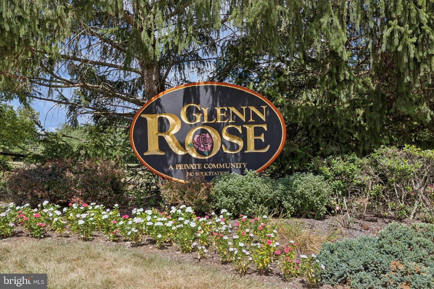 459 Glenn Rose Circle photo 34