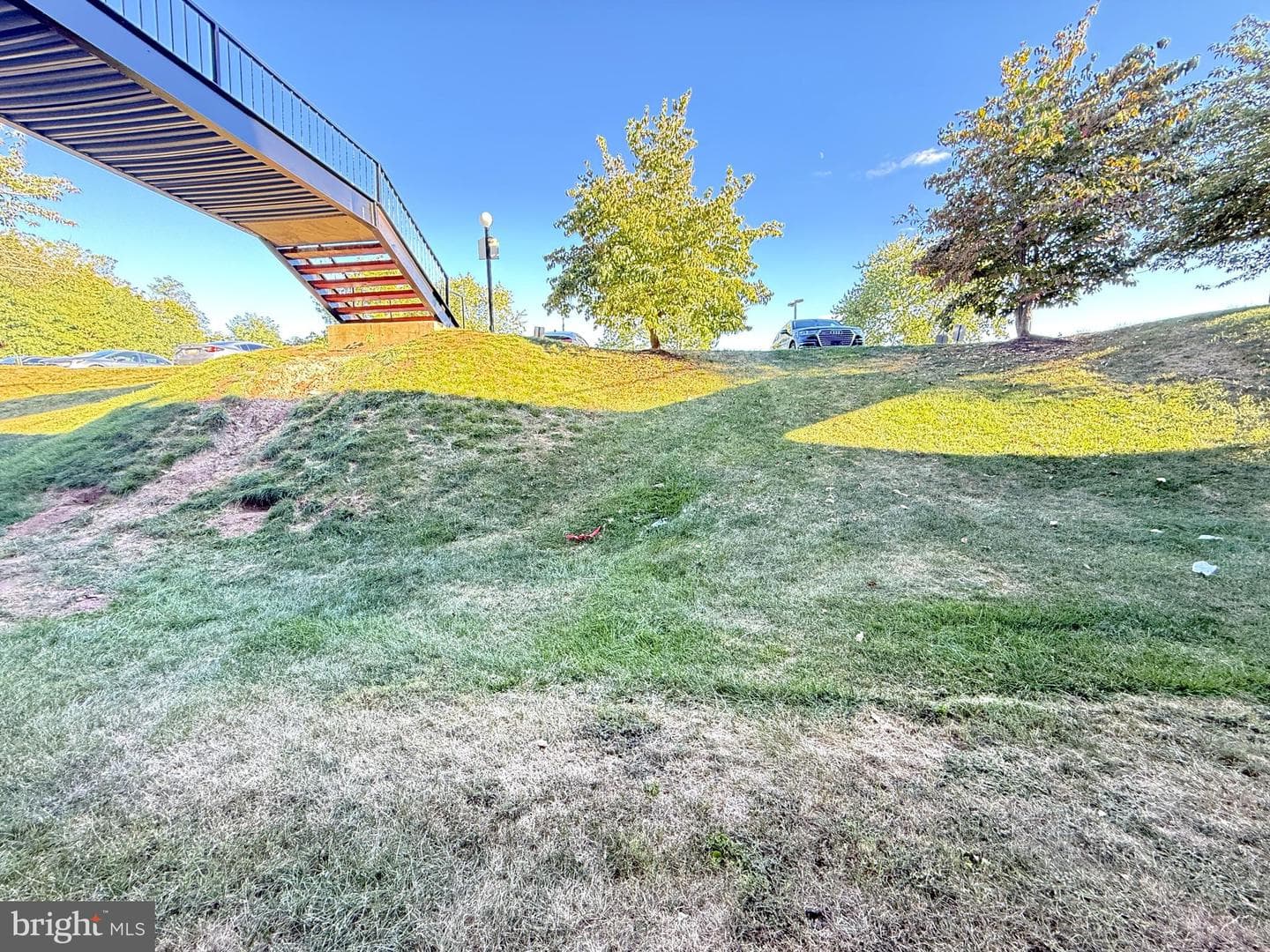 4421 Forest Lane photo 22