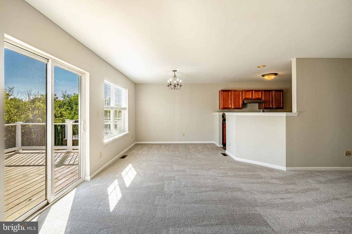 1008 Vanguard Drive photo 12