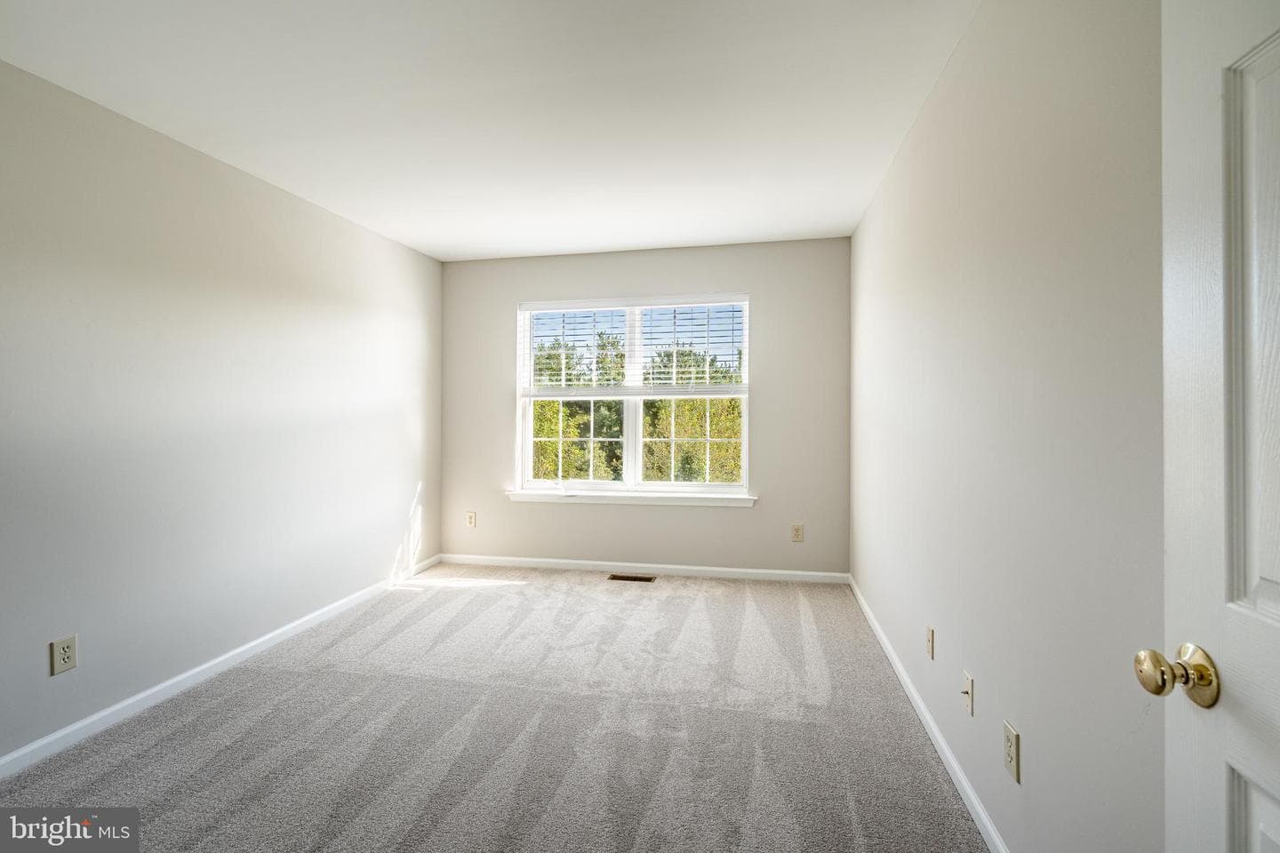 1008 Vanguard Drive photo 20