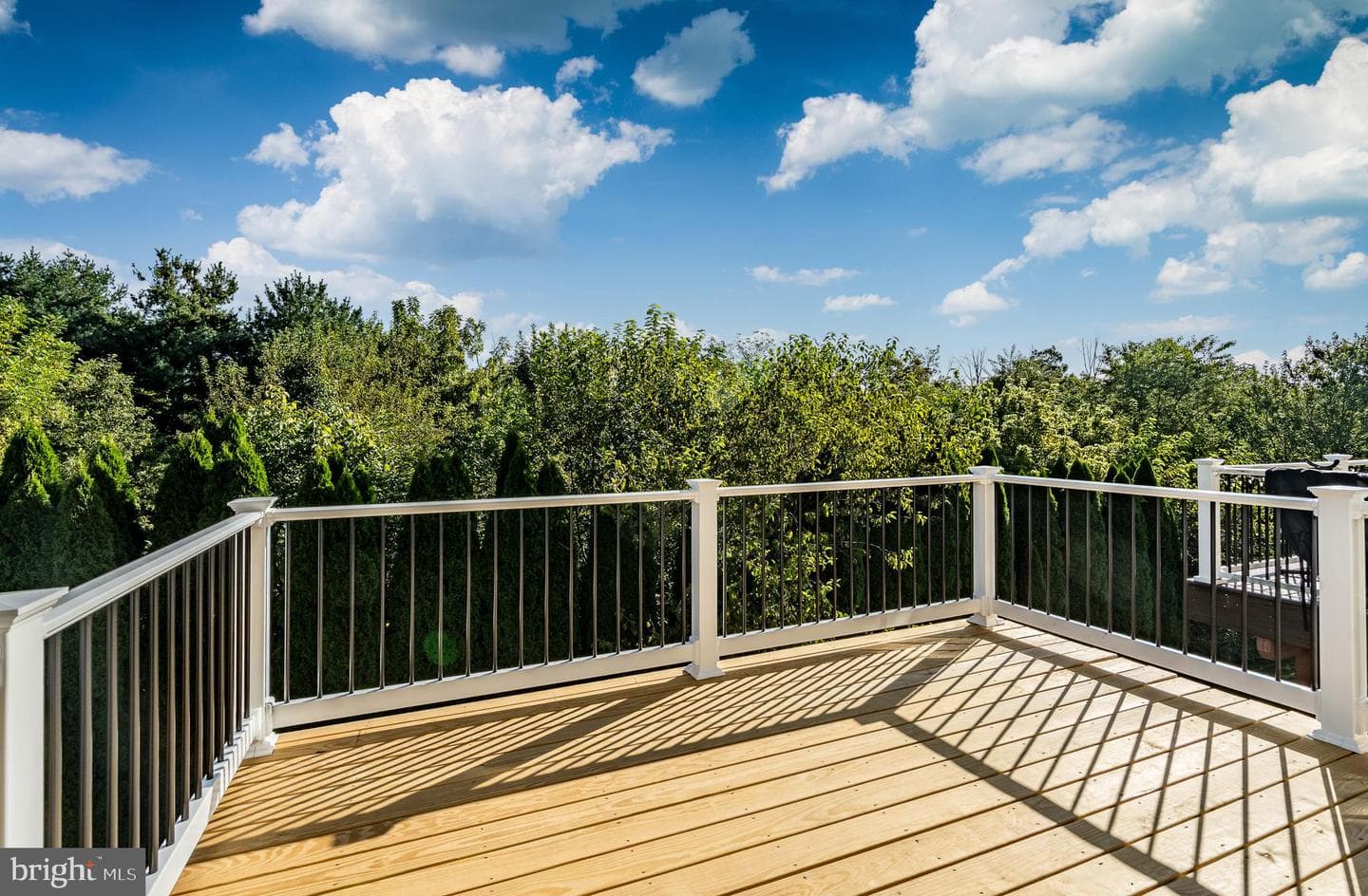 1008 Vanguard Drive photo 28