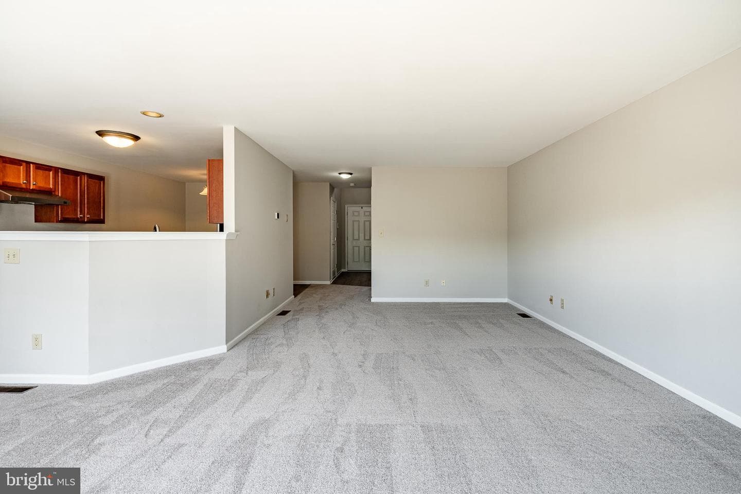 1008 Vanguard Drive photo 9