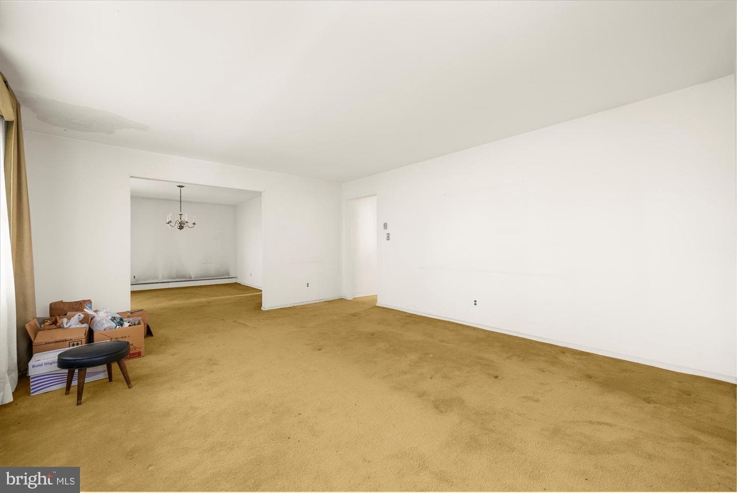 338 Rees Drive photo 10