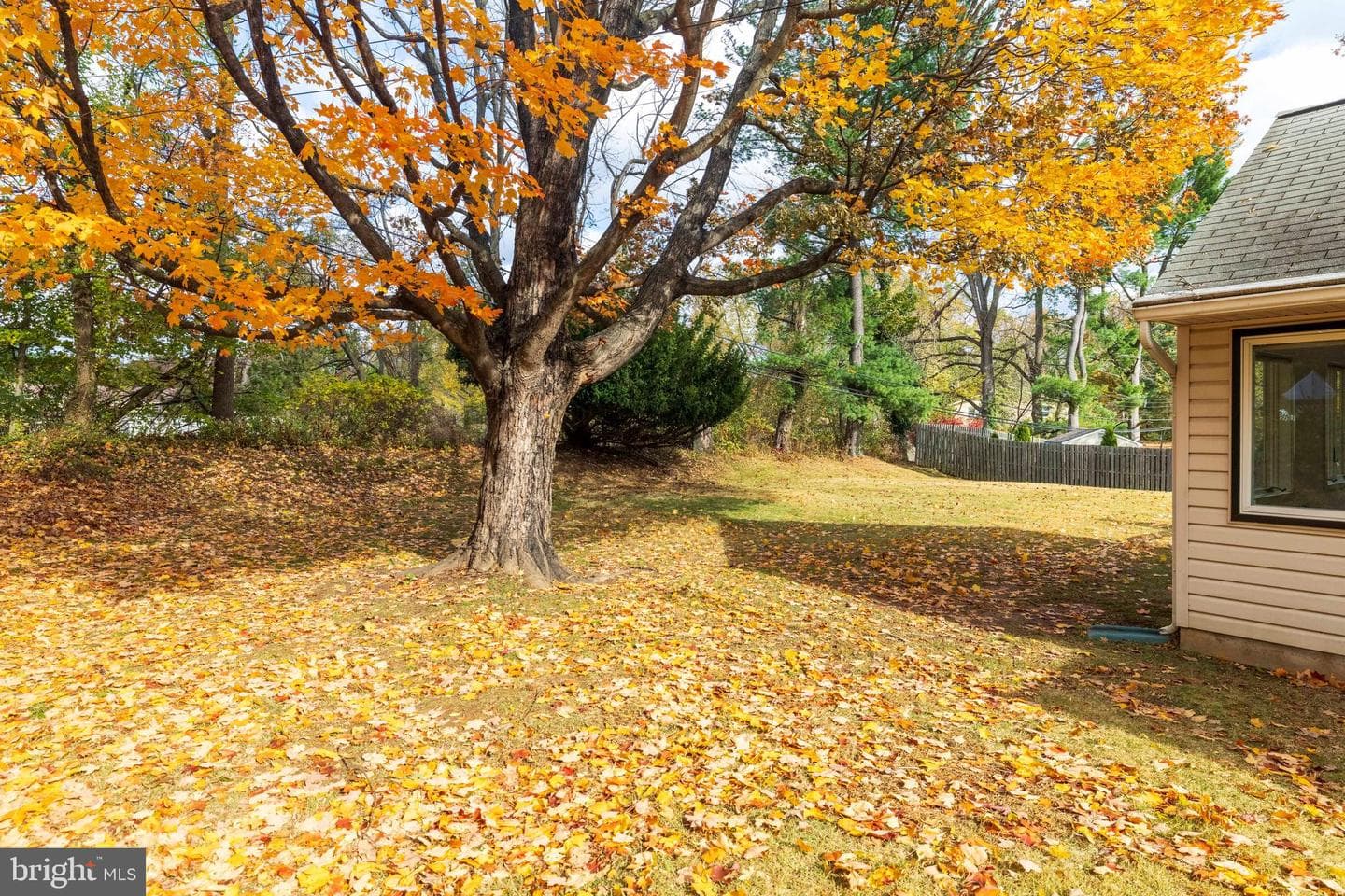 1054 Marie Road photo 24