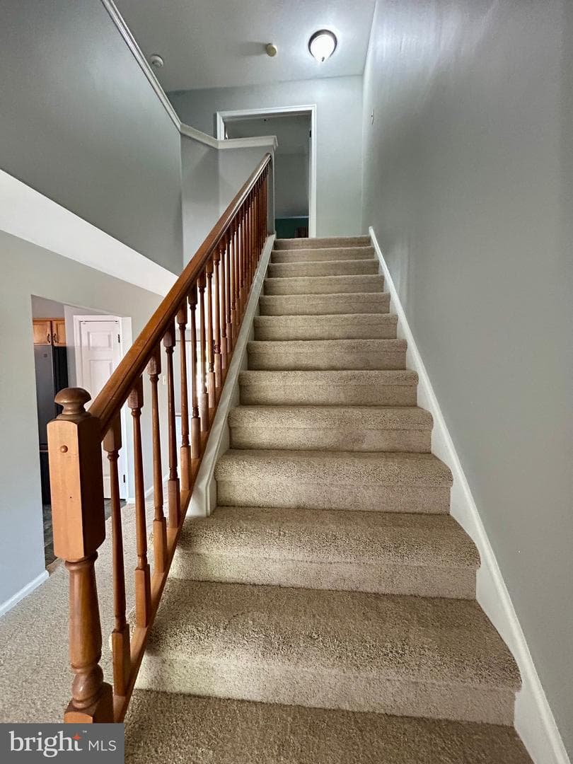 152 Merion Drive photo 10