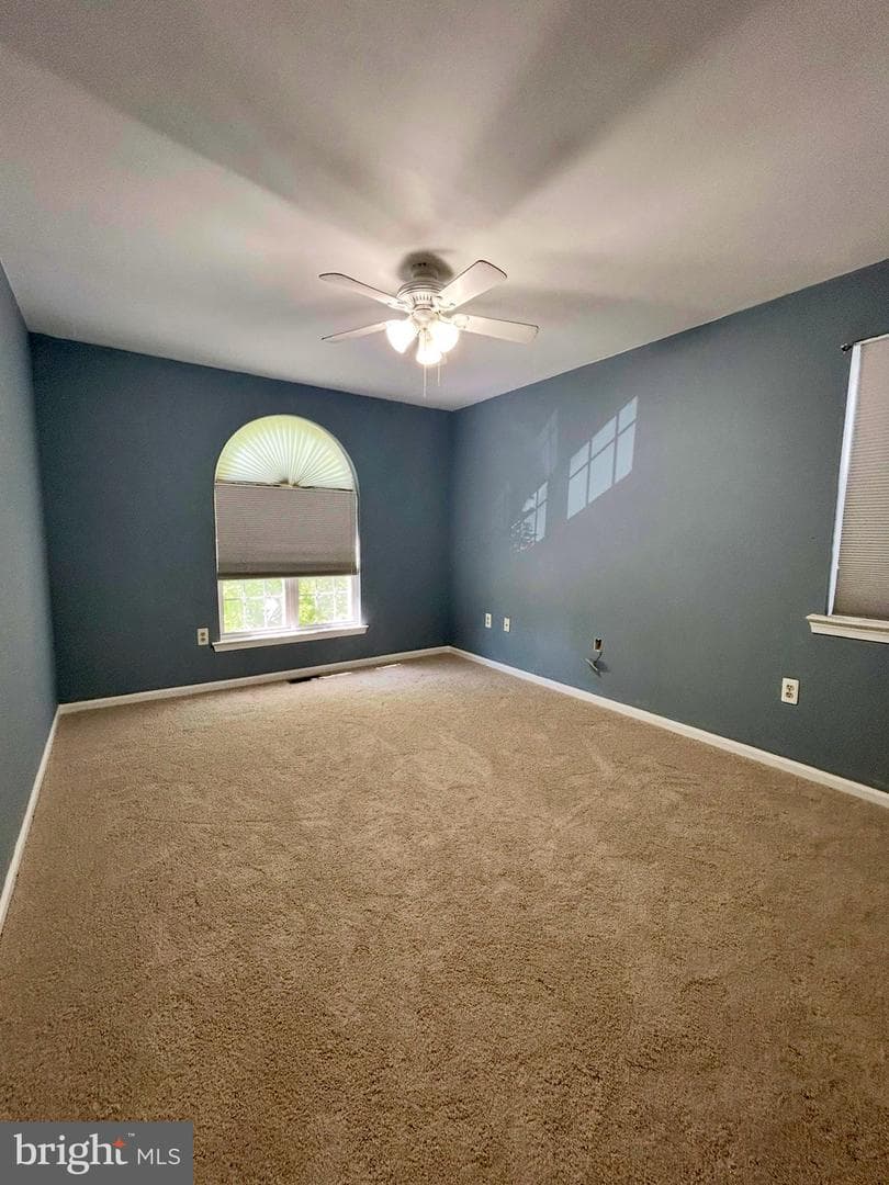 152 Merion Drive photo 18