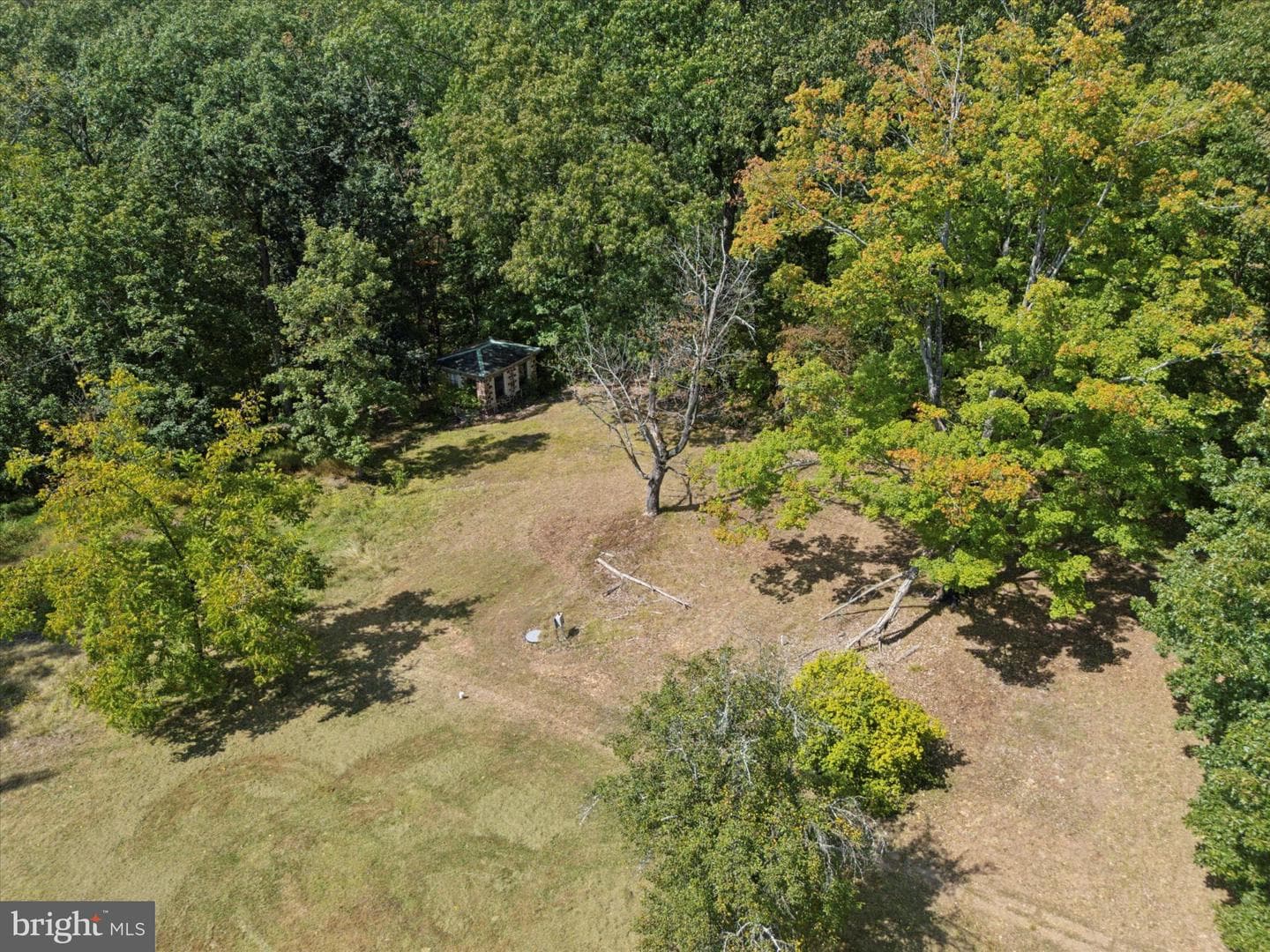 231 Bridge Street photo 5