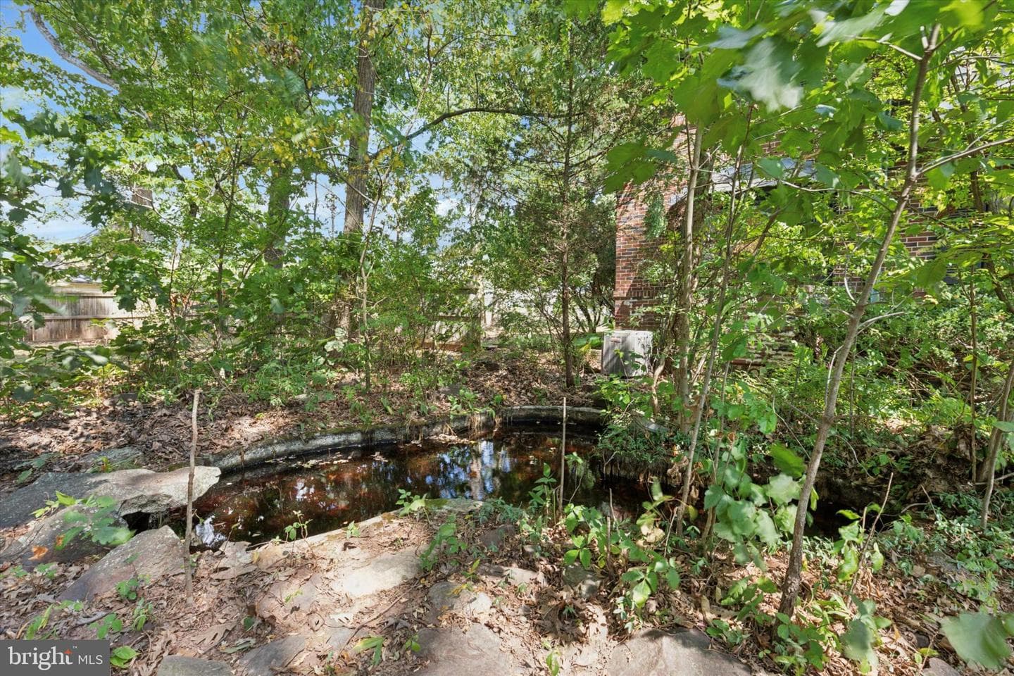 231 Bridge Street photo 7